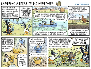 Tira cómica - Día Mundial de los Humedales 2013