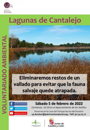 Voluntariado ambiental en las Lagunas de Cantalejo