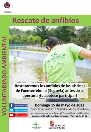 Voluntariado Ambiental rescate de anfibios